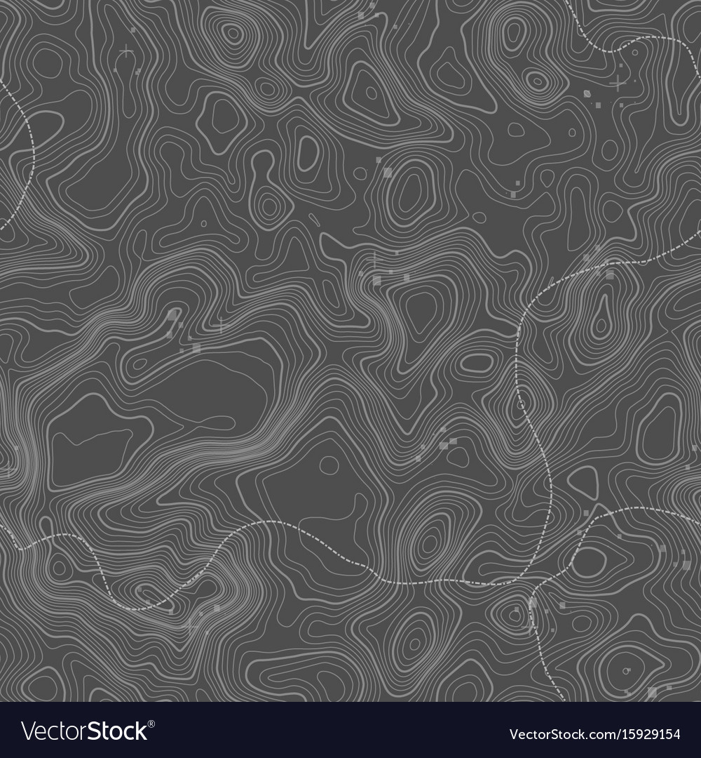 Seamless pattern topographic map background Vector Image