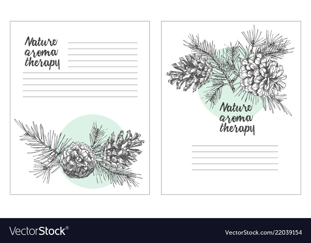 Set card template with pattern realistic botanical vector image Set card template with pattern realistic botanical