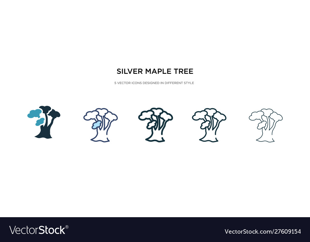 Silver maple tree icon in different style two