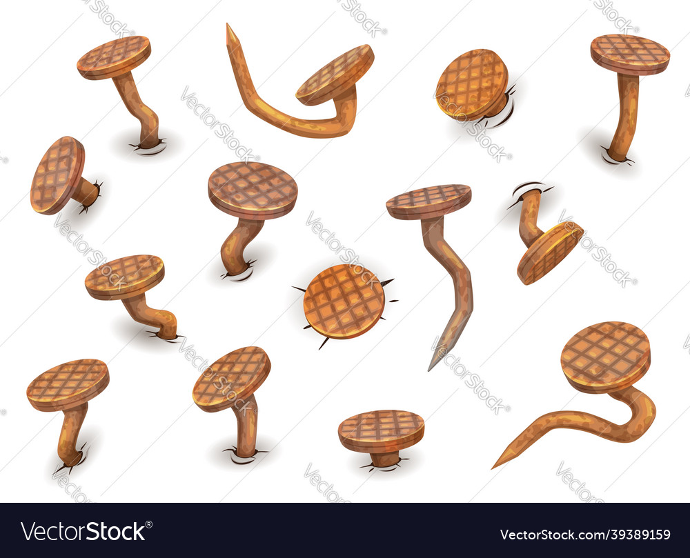 Cartoon isolated rusty bent nails and hobnails vector image Cartoon isolated rusty bent nails and hobnails