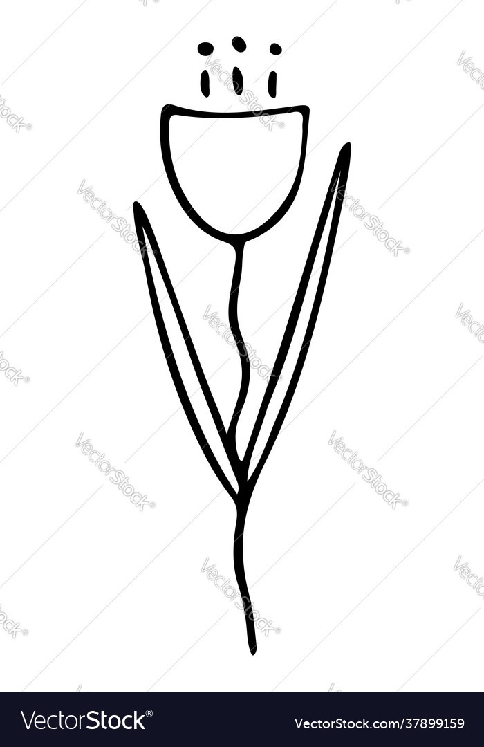 Isolated element with flower vector image Isolated element with flower
