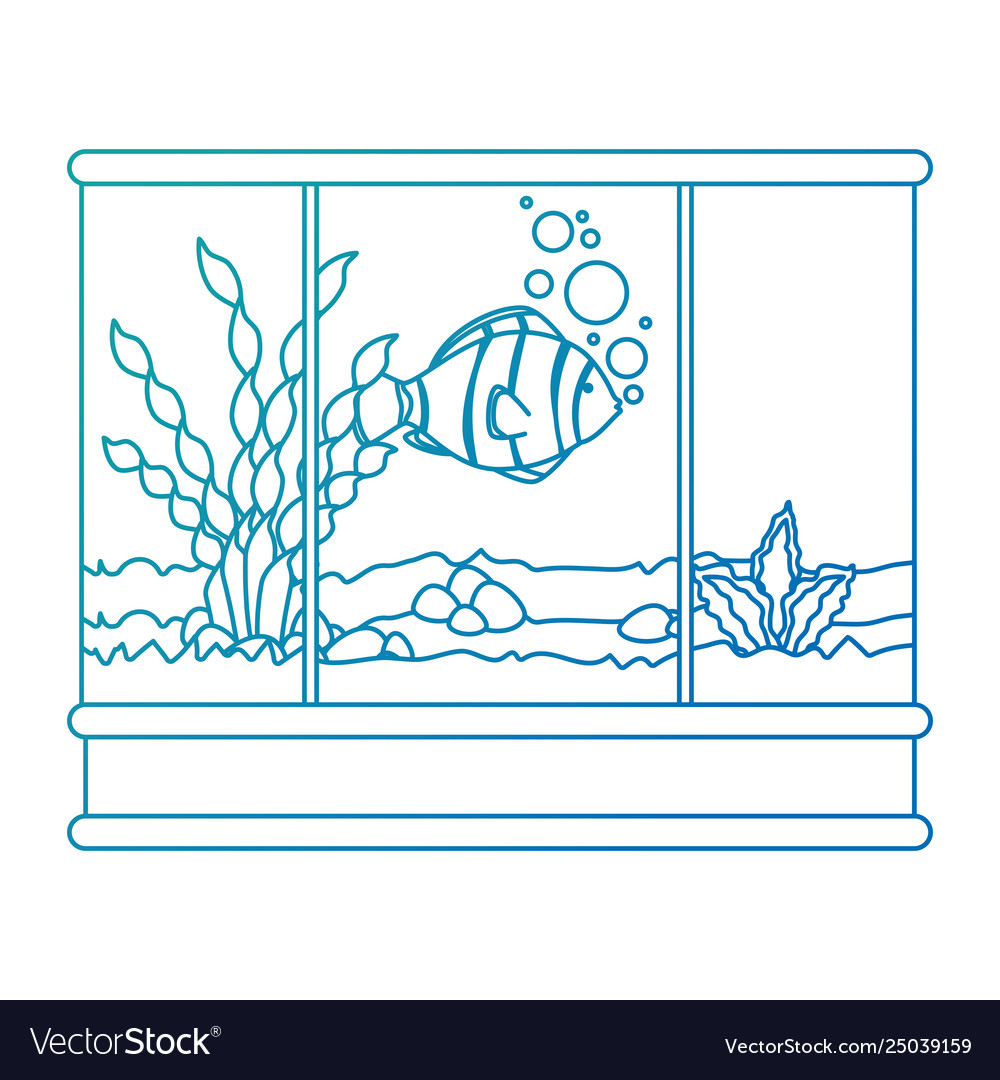 Square aquarium with colors fish Royalty Free Vector Image