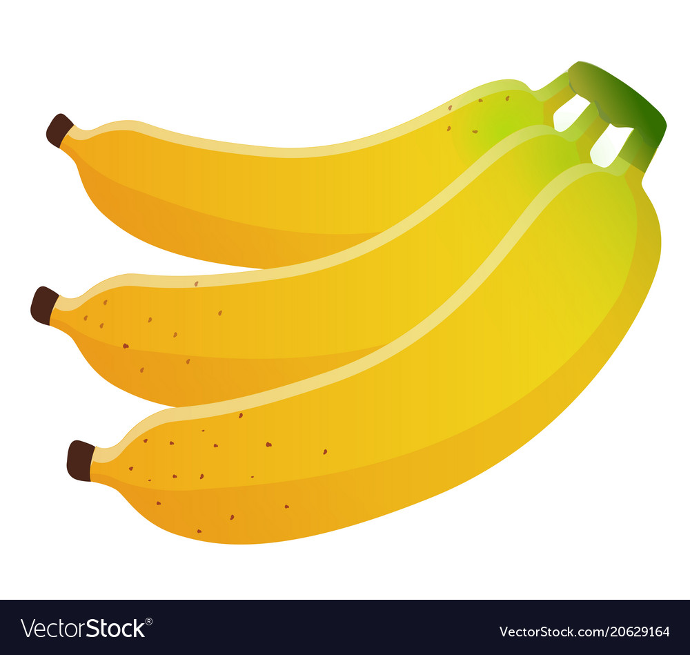 Bananas bunch isolated Royalty Free Vector Image