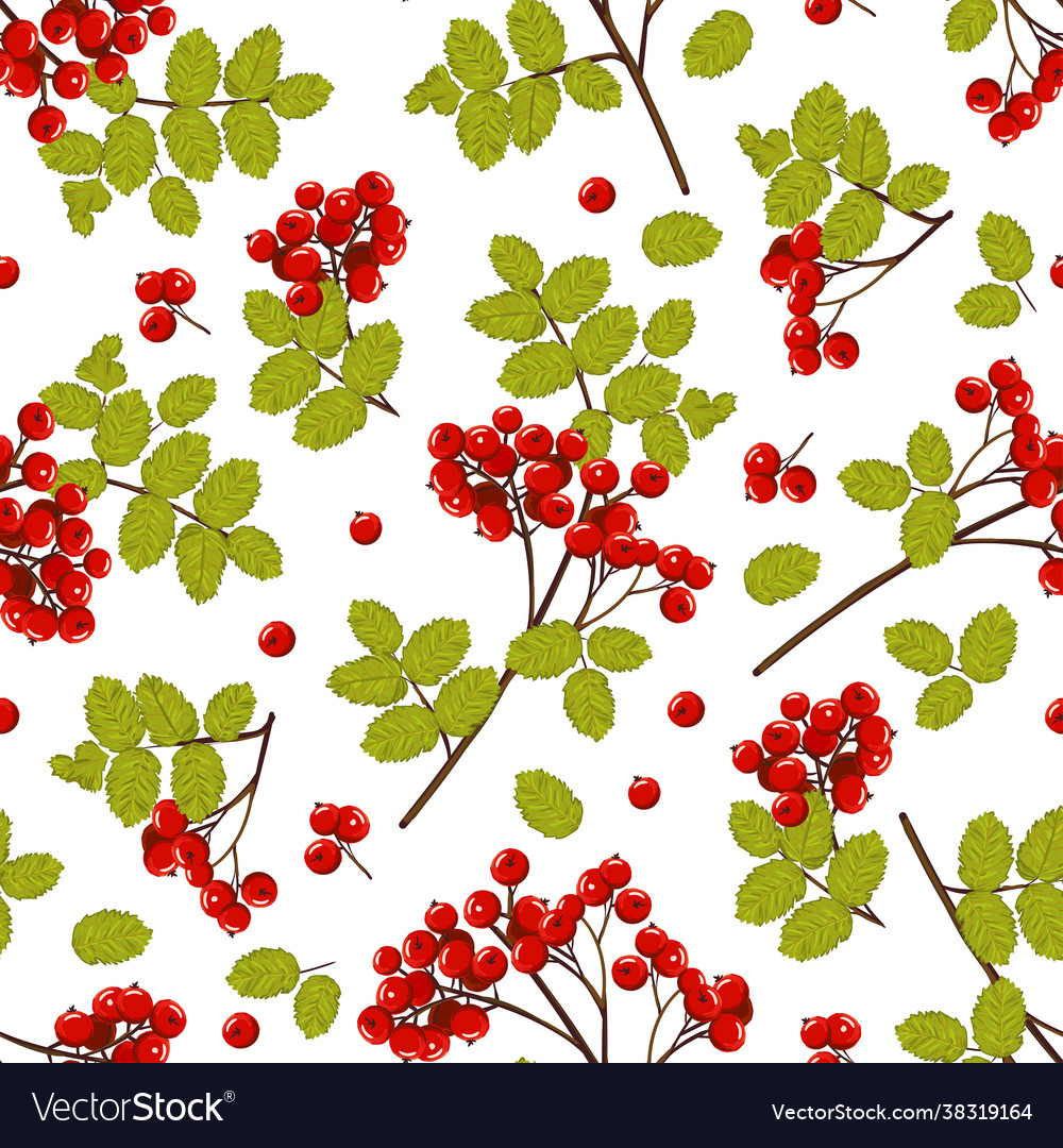Branches seamless pattern with red rowan berries Vector Image Branches seamless pattern with red rowan berries