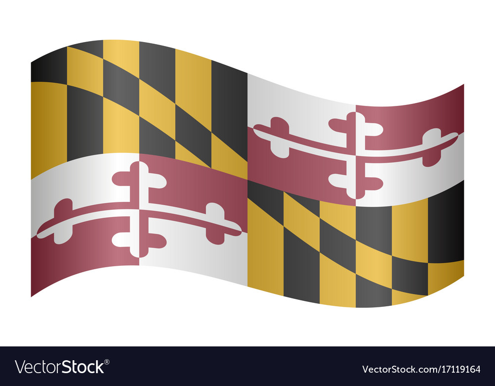 Flag of maryland waving on white background
