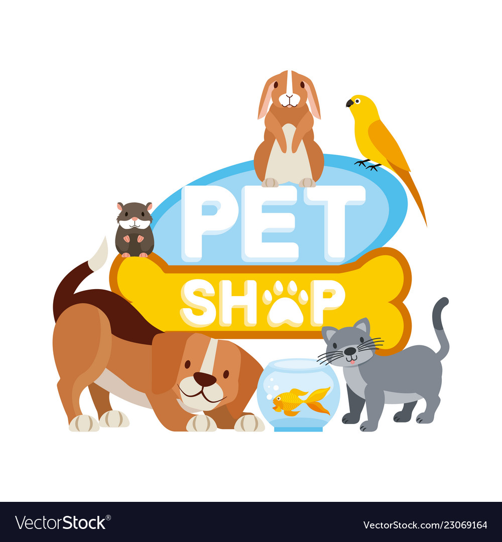 Pet and veterinary Royalty Free Vector Image - VectorStock