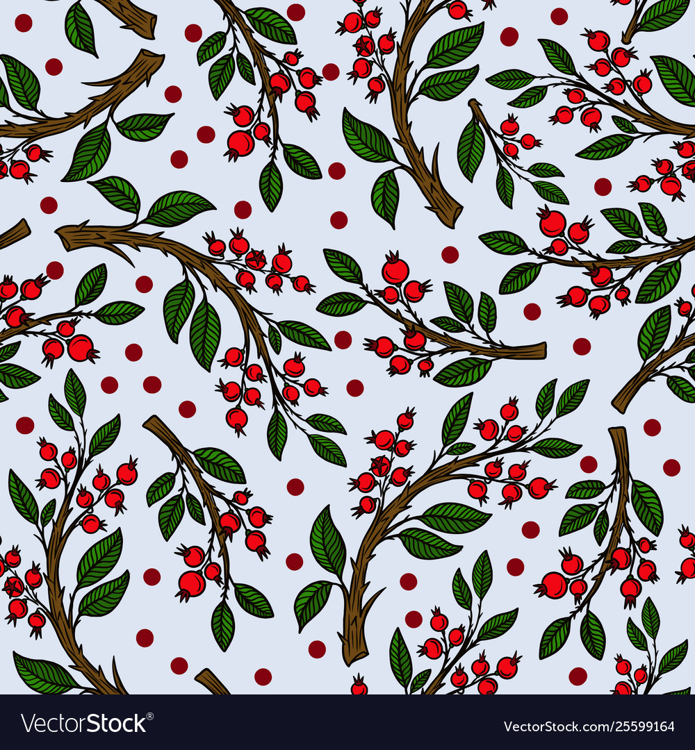 Seamless pattern with cranberries vector image Seamless pattern with cranberries