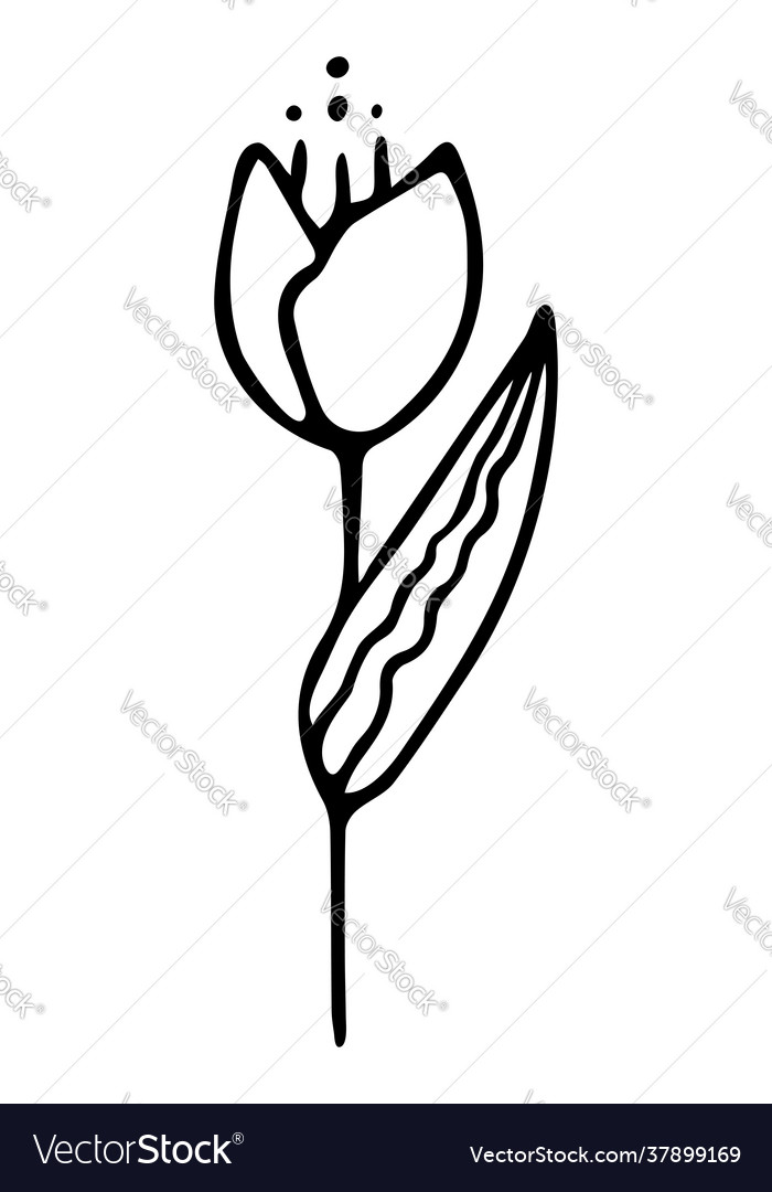 Isolated element with flower vector image Isolated element with flower