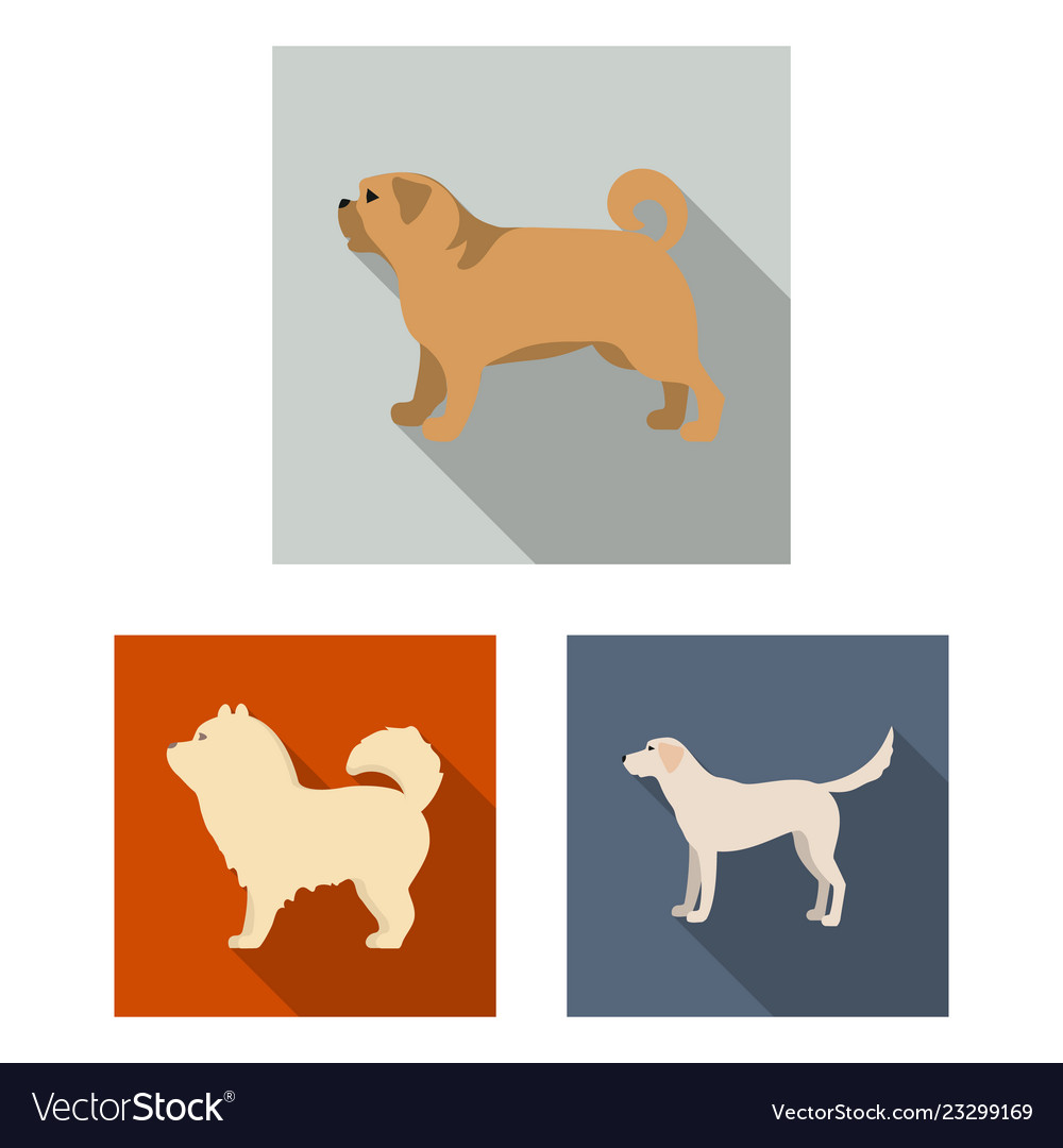 Isolated object of cute and puppy symbol set