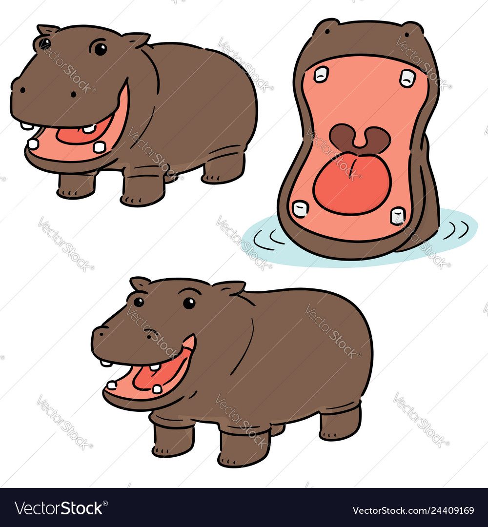 Set von Hippopotamus