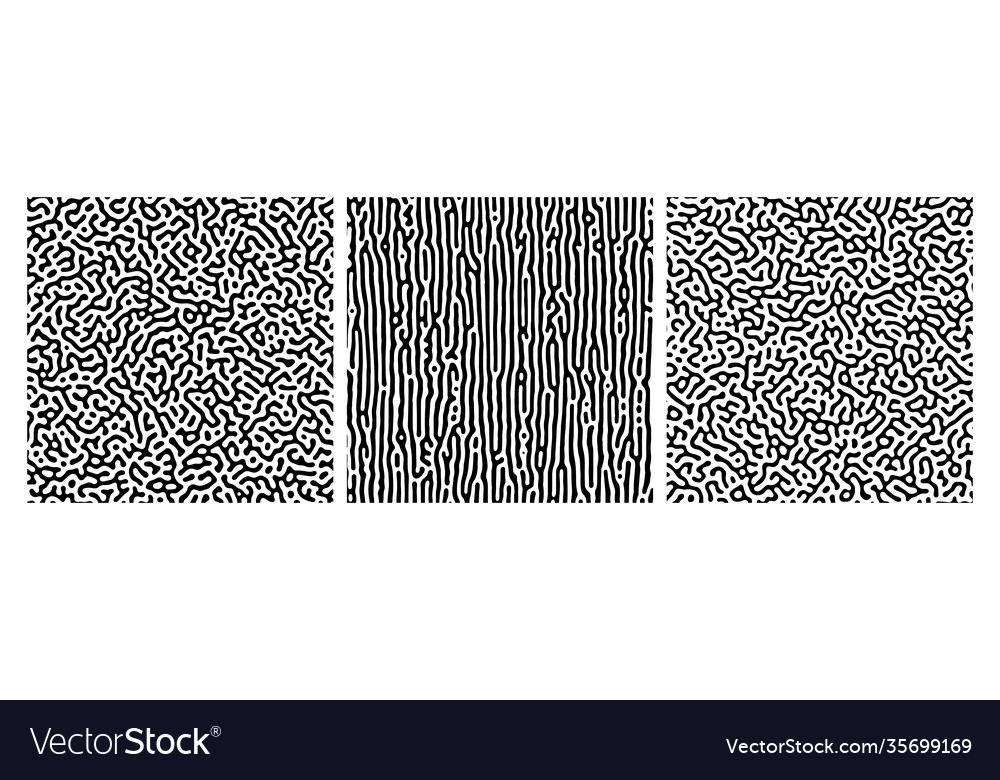 Set three turing reaction gradient backgrounds vector image Set three turing reaction gradient backgrounds