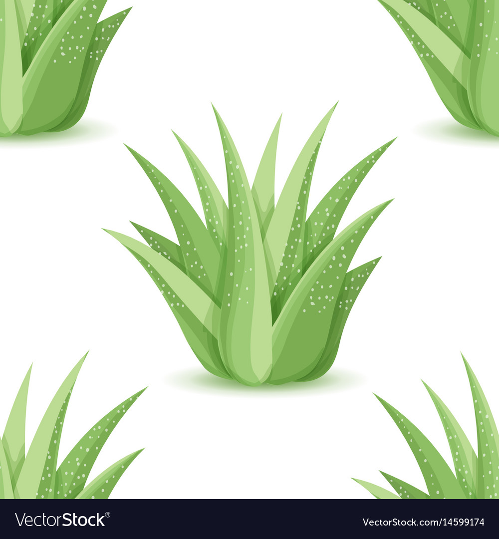 Agave - seamless pattern