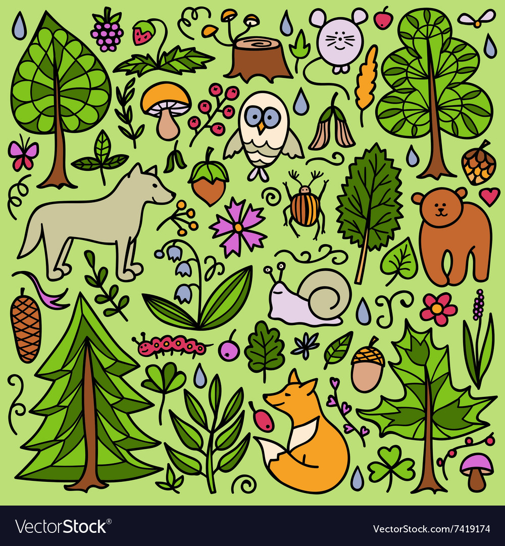 Forest color pattern