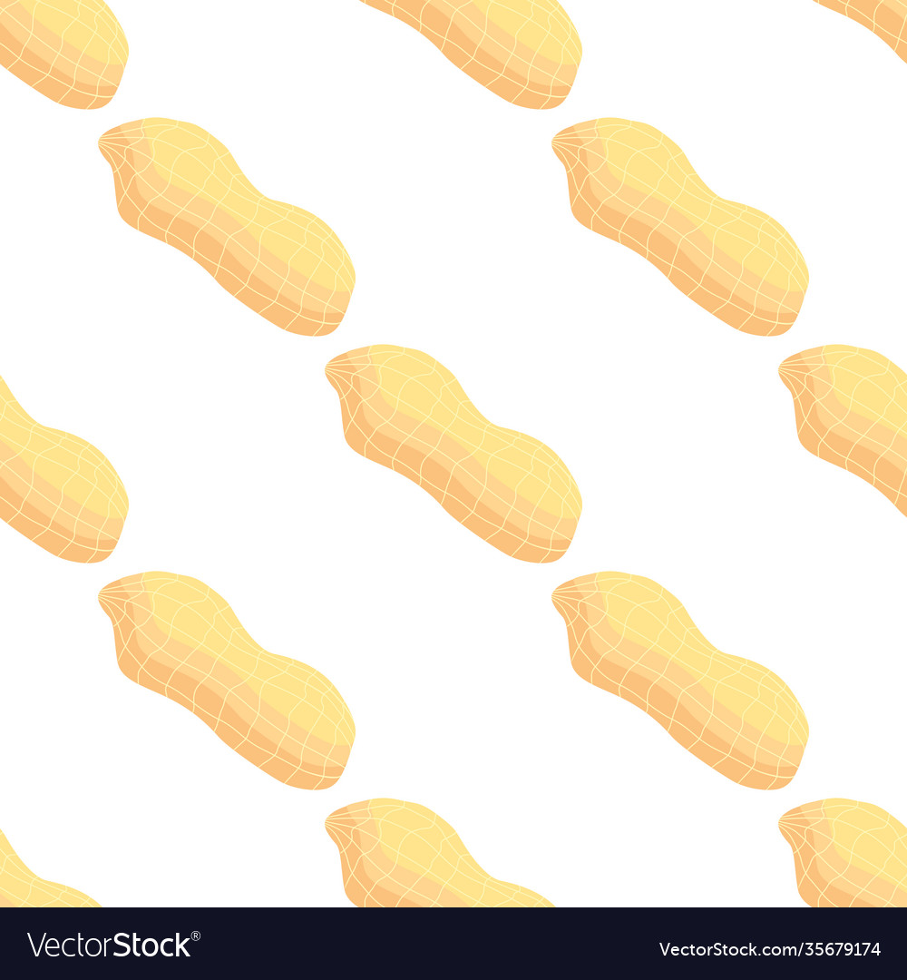On theme big pattern identical types peanut vector image On theme big pattern identical types peanut
