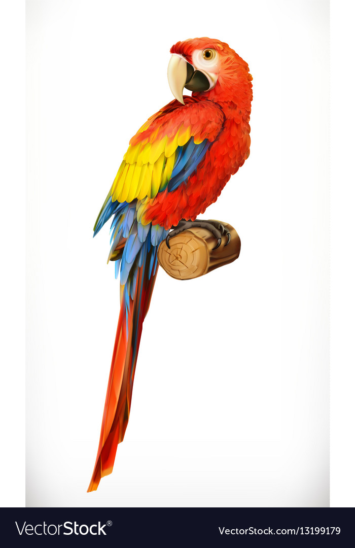 Ara parrot macaw photo realistic 3d icon Vector Image