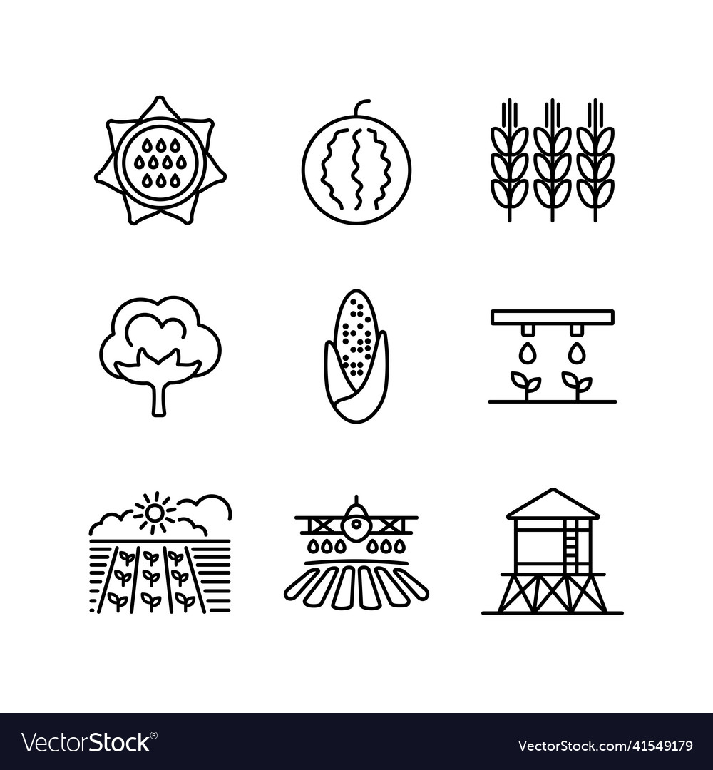 Farm field icon agriculture sign graph symbol Vector Image