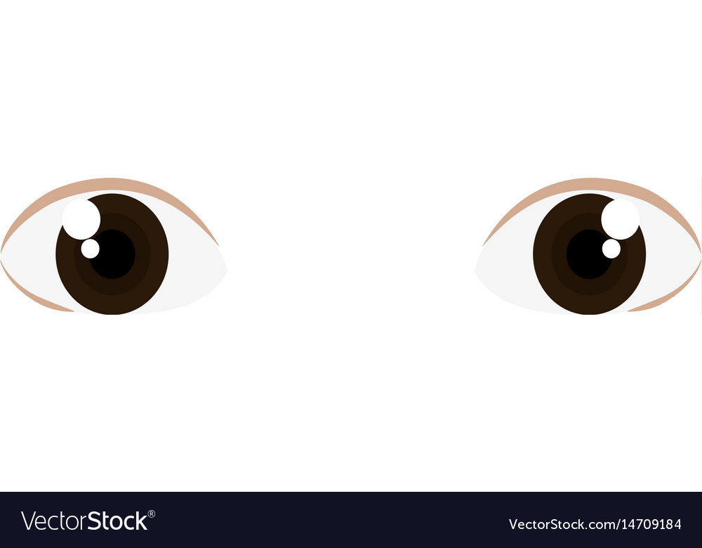 Beautiful eyes view icon Royalty Free Vector Image