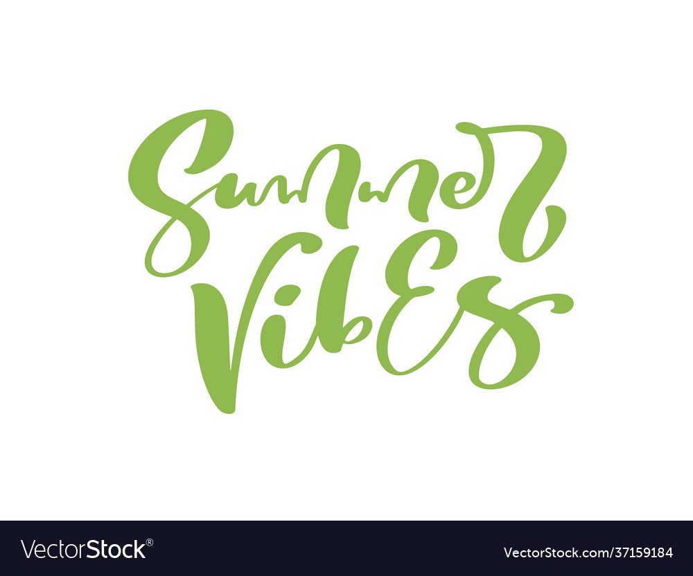 Calligraphy lettering text summer vibes