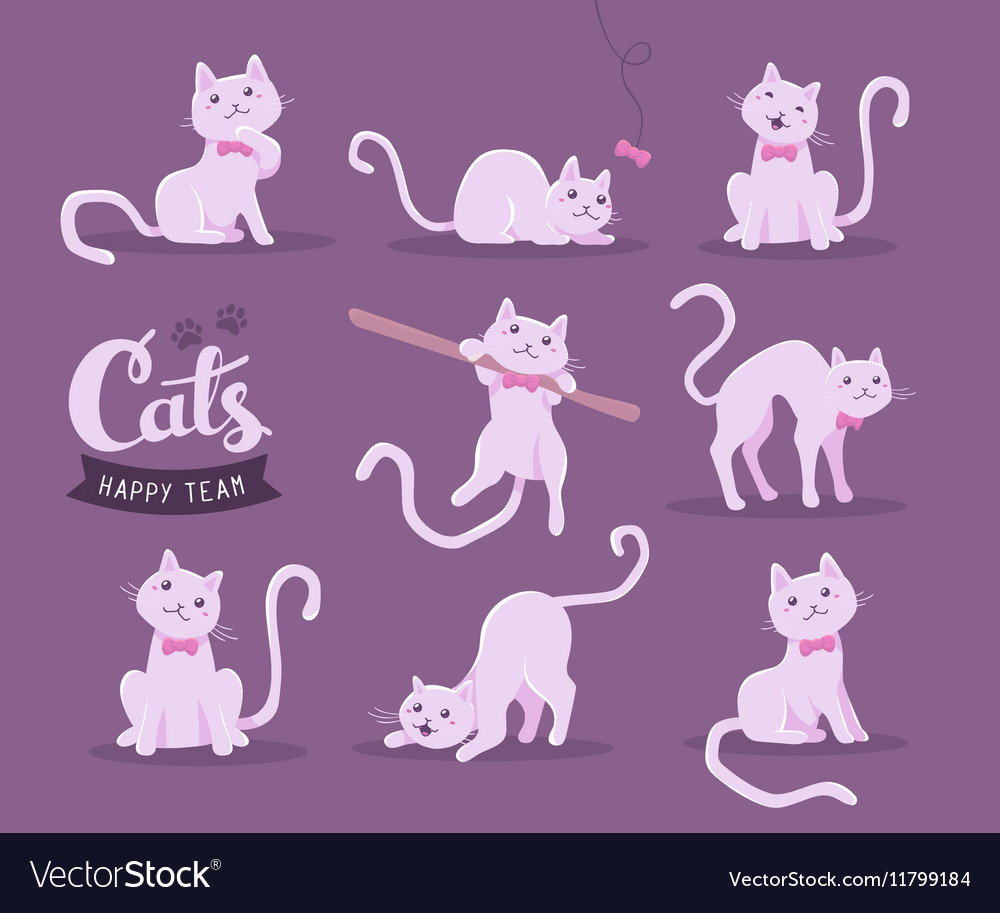 collection of of cute cat in different poses vector image cute different images
