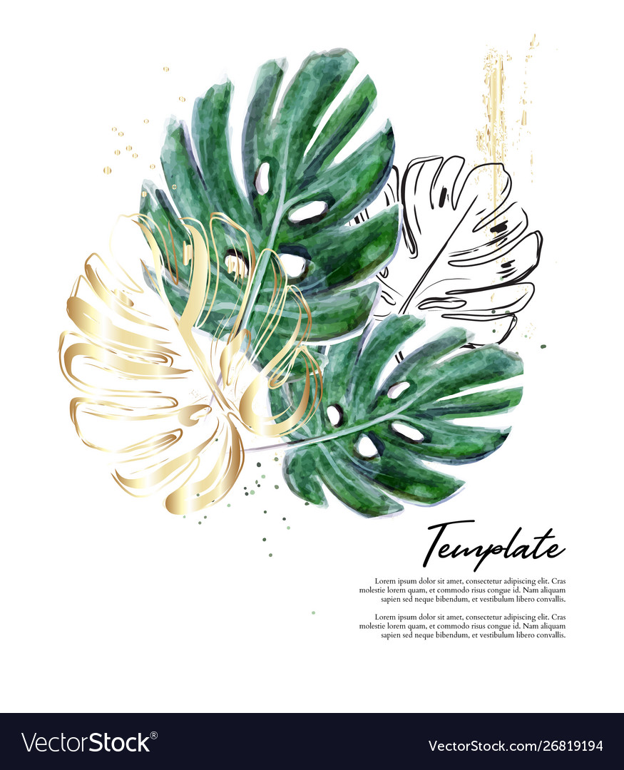Monstera hand-drawn watercolor with gold foil vector image Monstera hand-drawn watercolor with gold foil