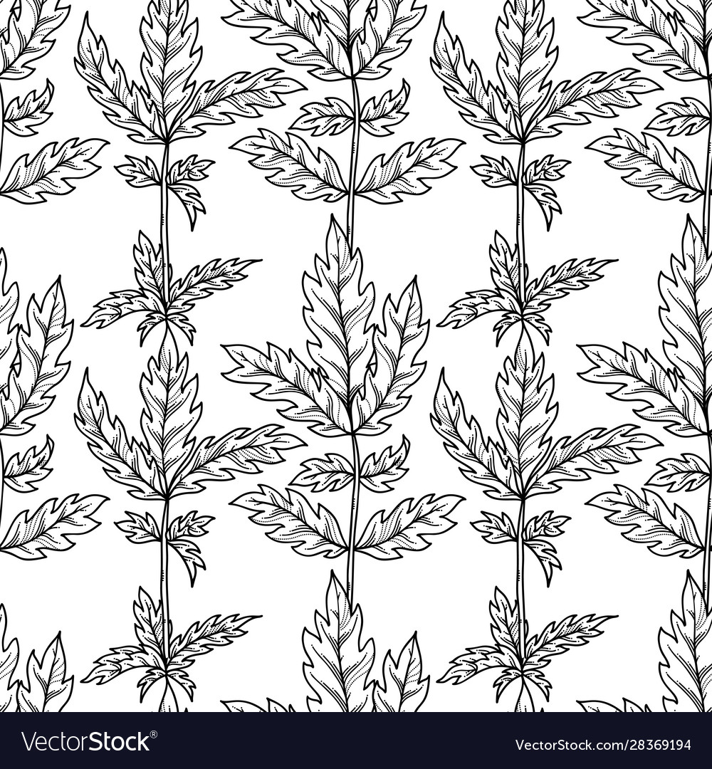 Seamless pattern linear leaves vector image Seamless pattern linear leaves