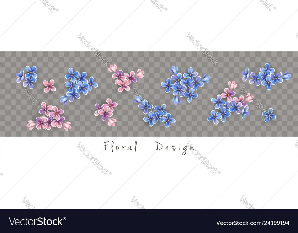 Set of flowers