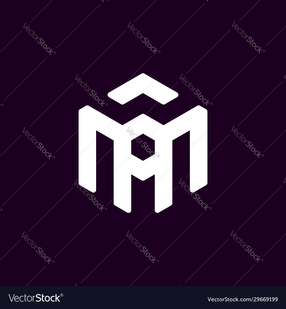 Initial letter a m logo template with hexagonal Vector Image