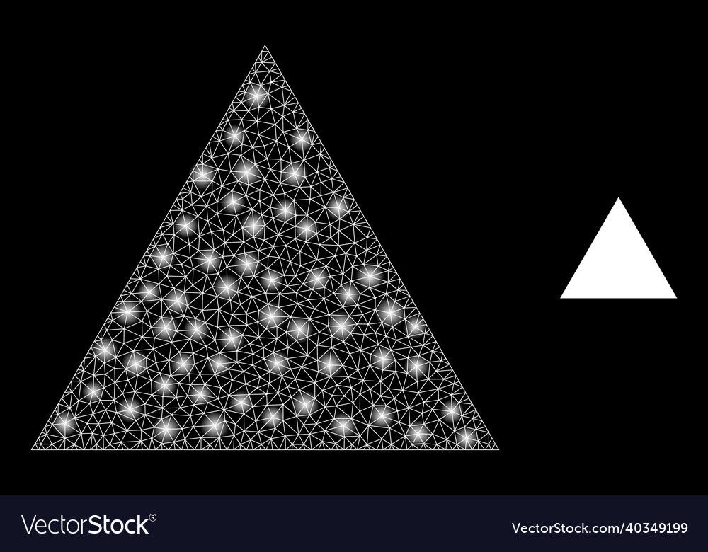 Mesh net filled triangle with magic network vector image Mesh net filled triangle with magic network