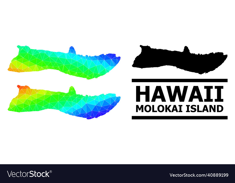 Polygonal spectrum map of molokai island vector image Polygonal spectrum map of molokai island