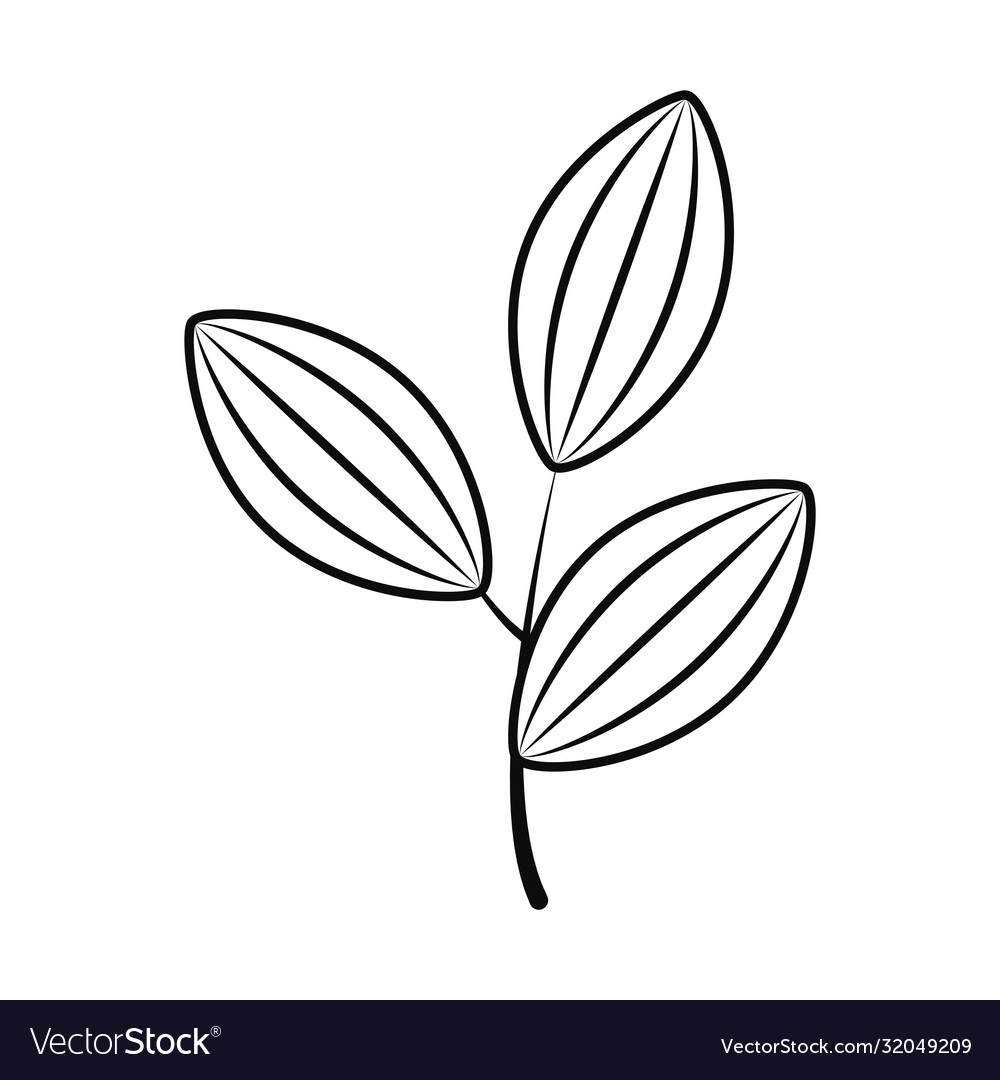 Cute branch with leaves icon line style Royalty Free Vector