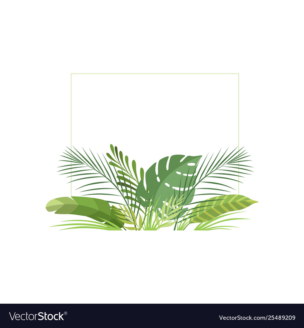 Exotic Tropical Leaves Banner Poster Wedding Vector Image