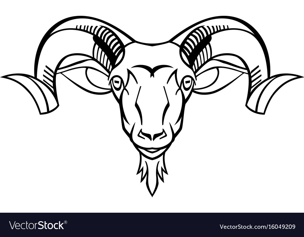 Ram head Royalty Free Vector Image - VectorStock