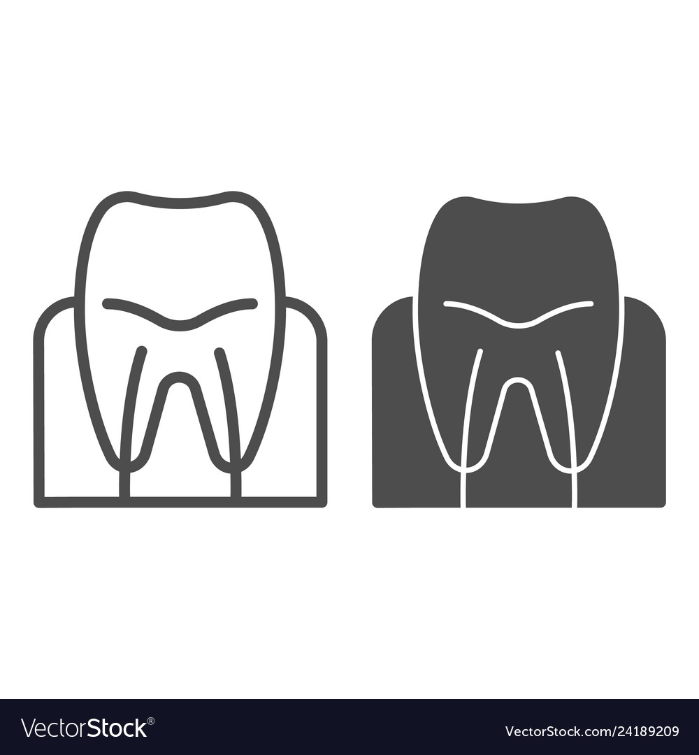 Tooth gum line and glyph icon root