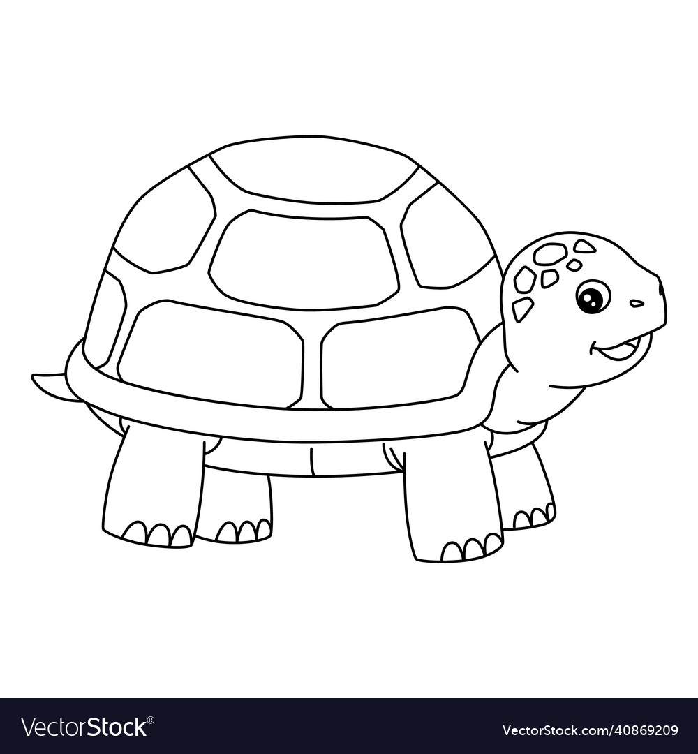 Turtle coloring page isolated for kids Royalty Free Vector