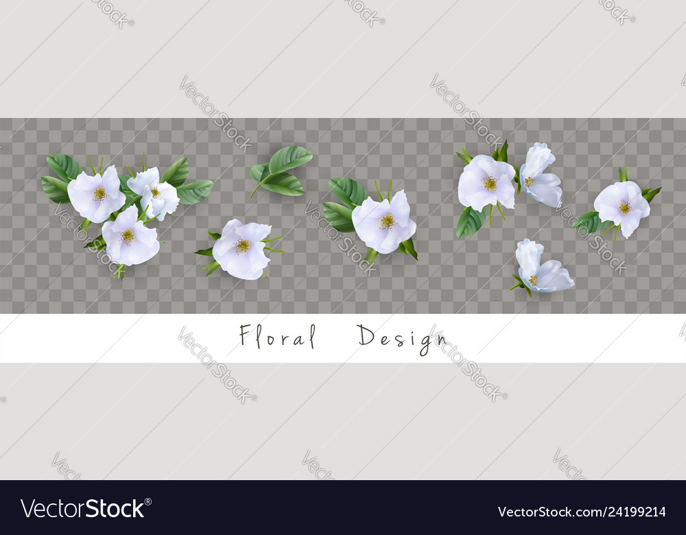 Set of flowers