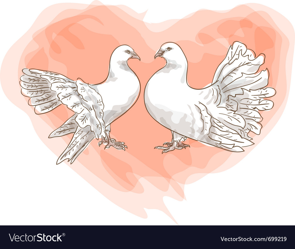 Couple doves