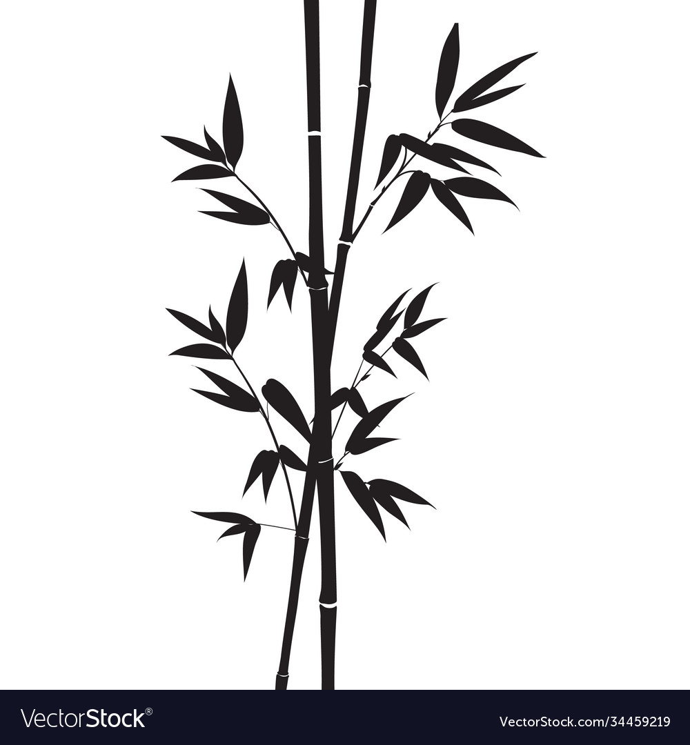 Decorative bamboo branches isolated on white Vector Image