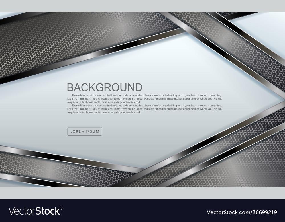 White design with mesh bezels metallic border vector image White design with mesh bezels metallic border