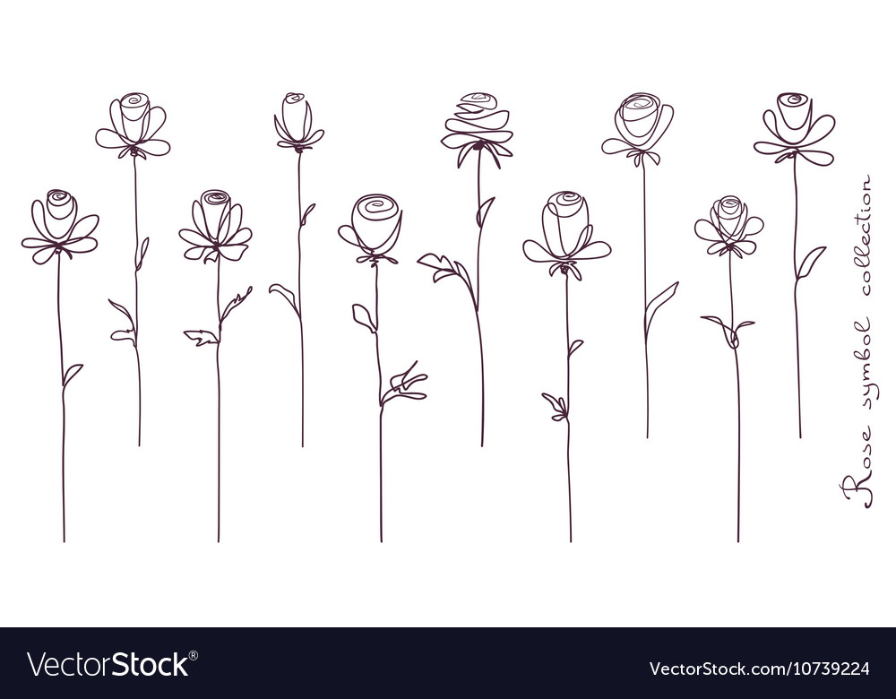 Roses collection of isolated rose flower sketch Vector Image