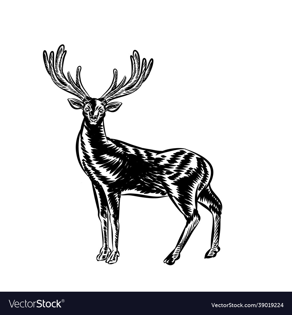 Vintage deer for logo