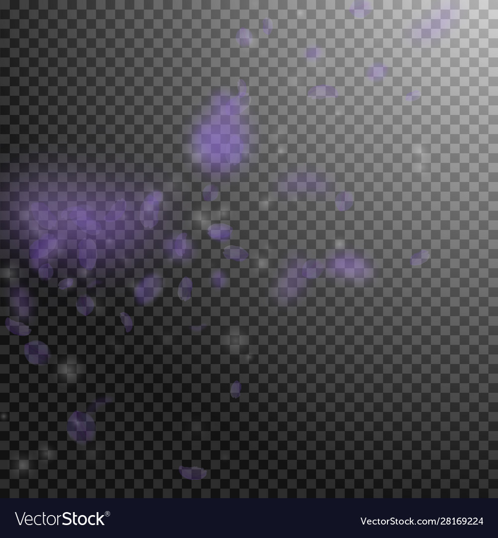 Violet flower petals falling down mind-blowing ro Vector Image