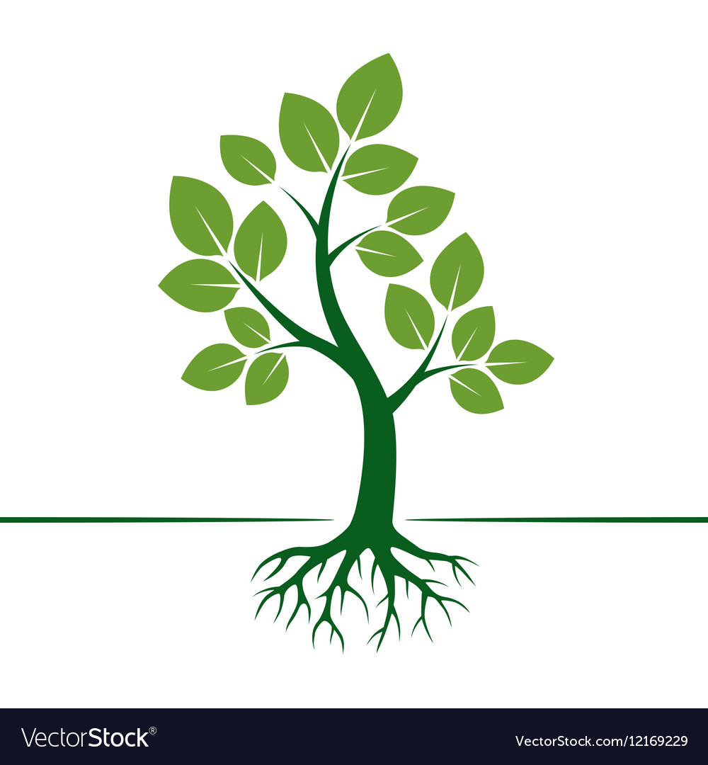 green-tree-and-roots-royalty-free-vector-image