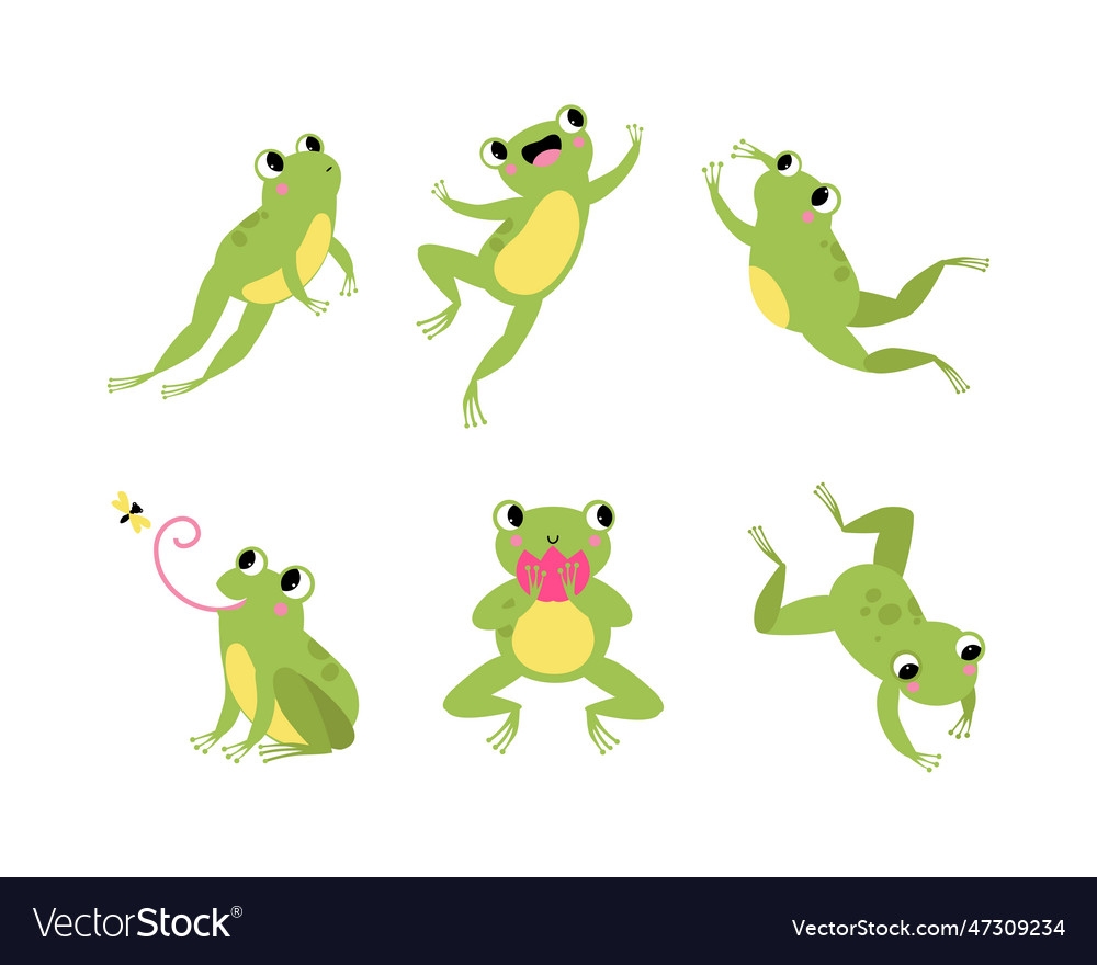 Cute green frog with protruding eyes Royalty Free Vector