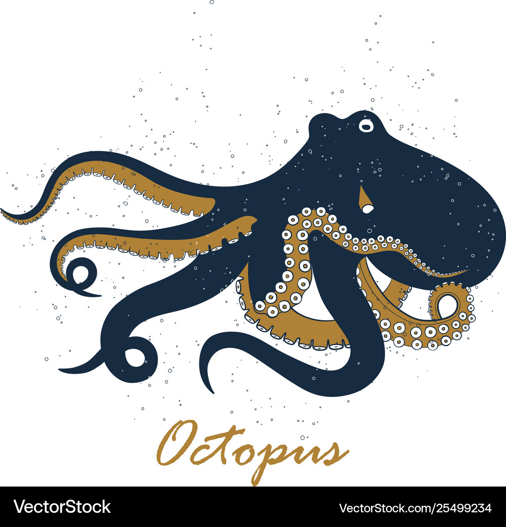 Octopus on white background Royalty Free Vector Image
