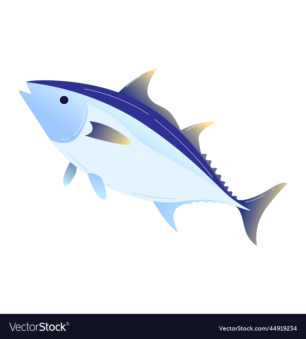 Sea animal blue fish tuna from ocean isolated Vector Image