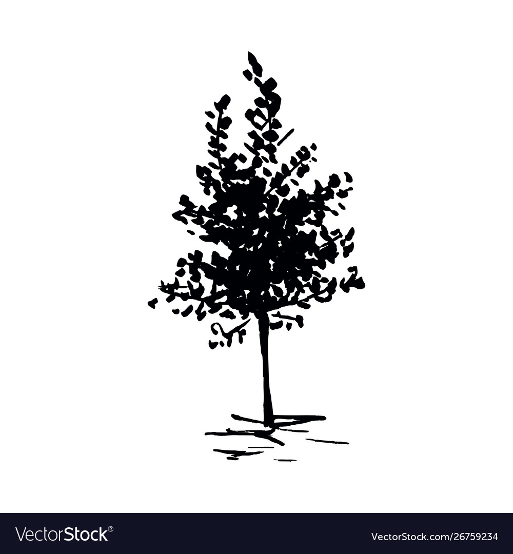 Tree single hand drawn black isolated