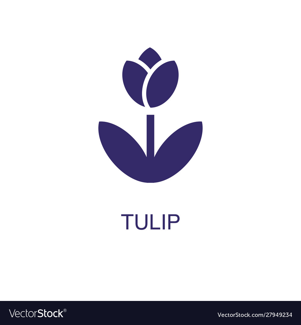 Tulip element in flat simple style on white