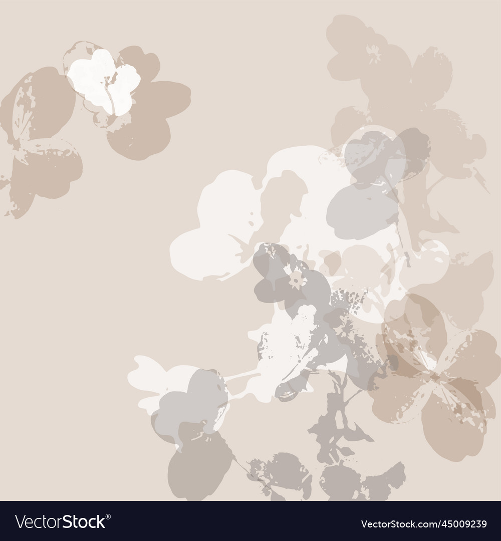 Floral chic background with delicate flowers Vector Image
