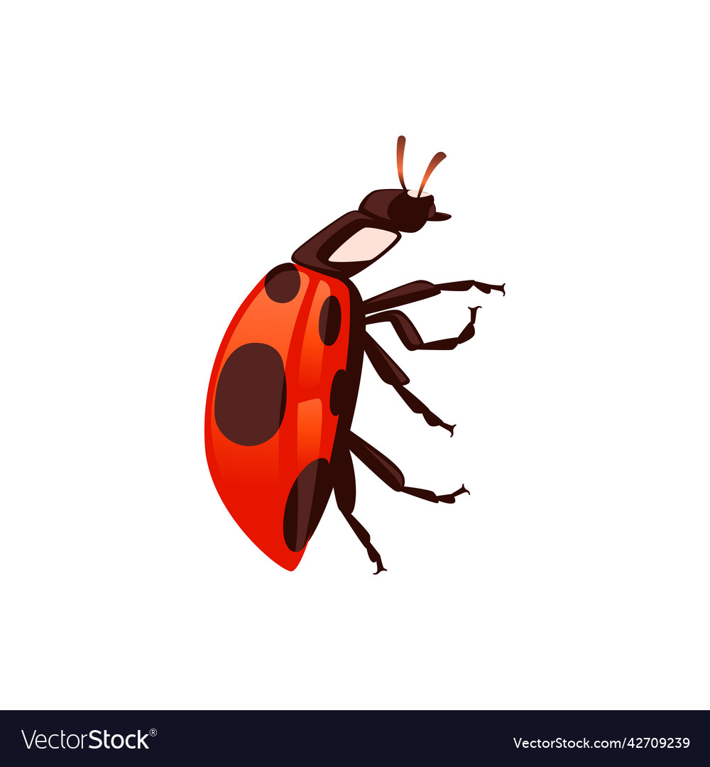 Ladybug with closed shell beetle cartoon bug
