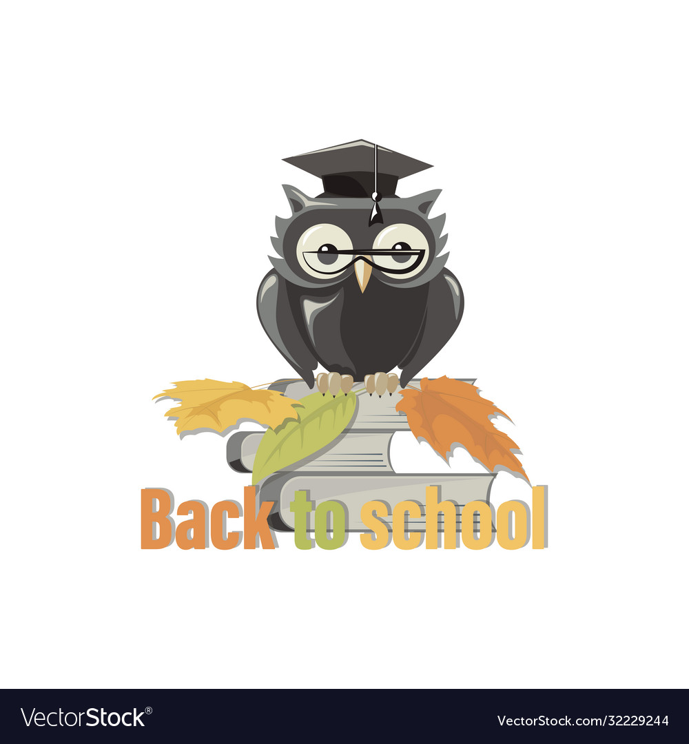 Back to school owl books and autumn leaves